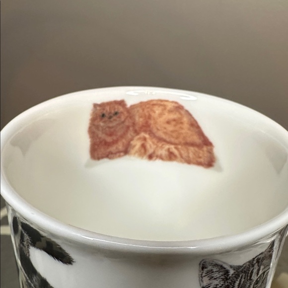 Cats Galore Mug Roy Kirkham England 2005 Fine Bone China 8oz Cup K.M. Hassall - Picture 4 of 6